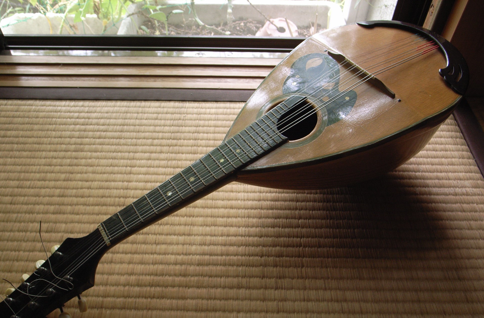 Is Mandolin Hard To Learn? (11 Things You Can Expect)