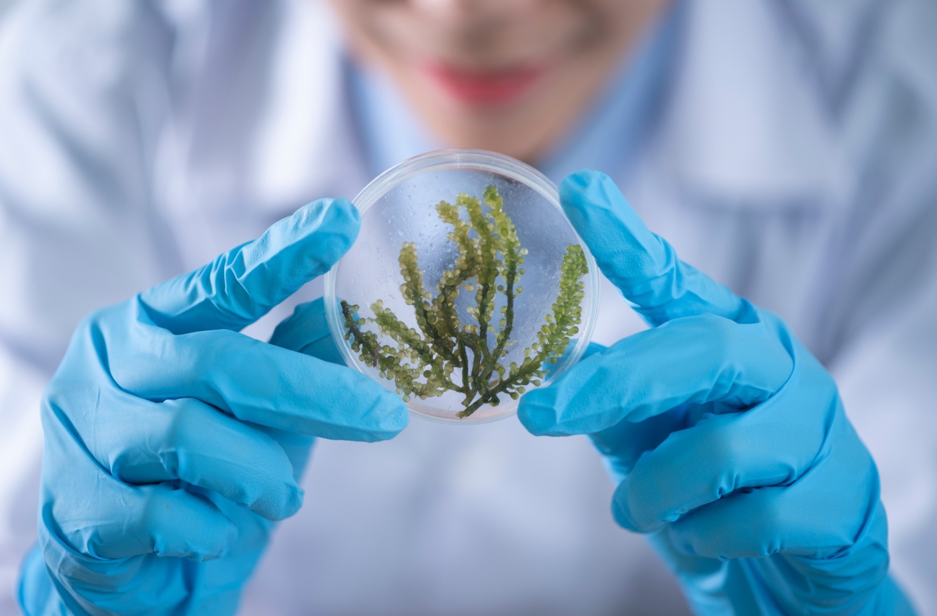 Is Biology Hard? (11 Things You Can Expect)