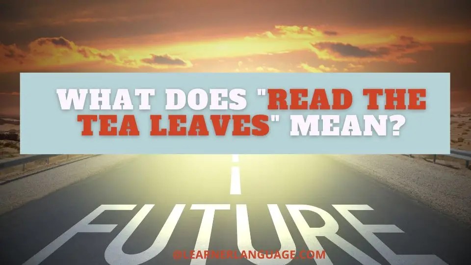 What does "Read the tea leaves" mean?