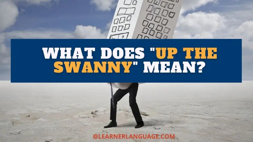 What does "Up the swanny" mean?