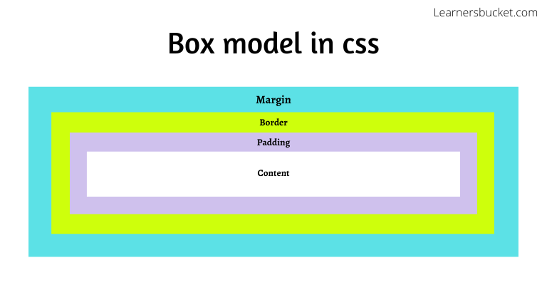 Explained box model in css LearnersBucket Explained box model in css LearnersBucket