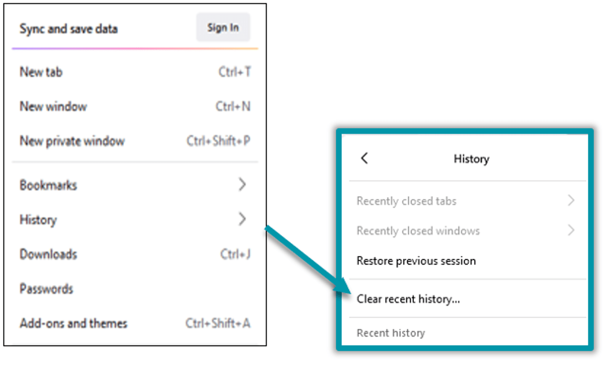 Video will not display Freestone Learner Support