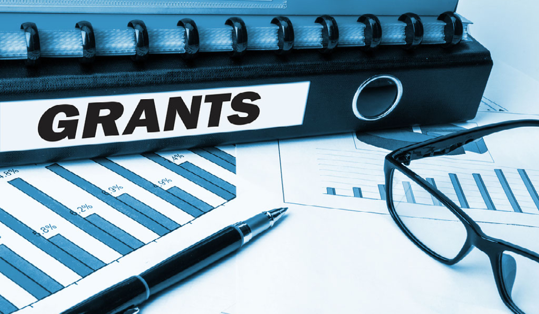 Training Support Grant — Learnful