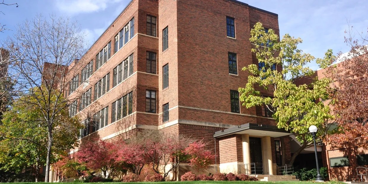 Study Abroad LearnPlusPlus