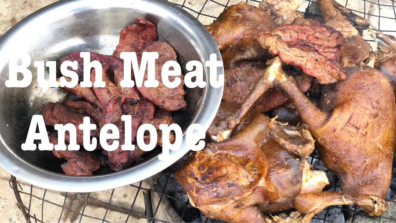 Bush meat grilling and Nigeria suya Bush Meat