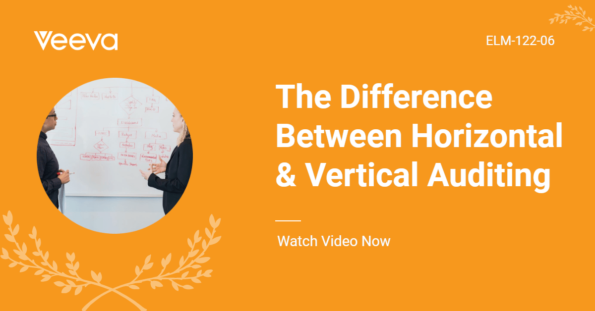 The Difference Between Horizontal & Vertical Auditing [Video