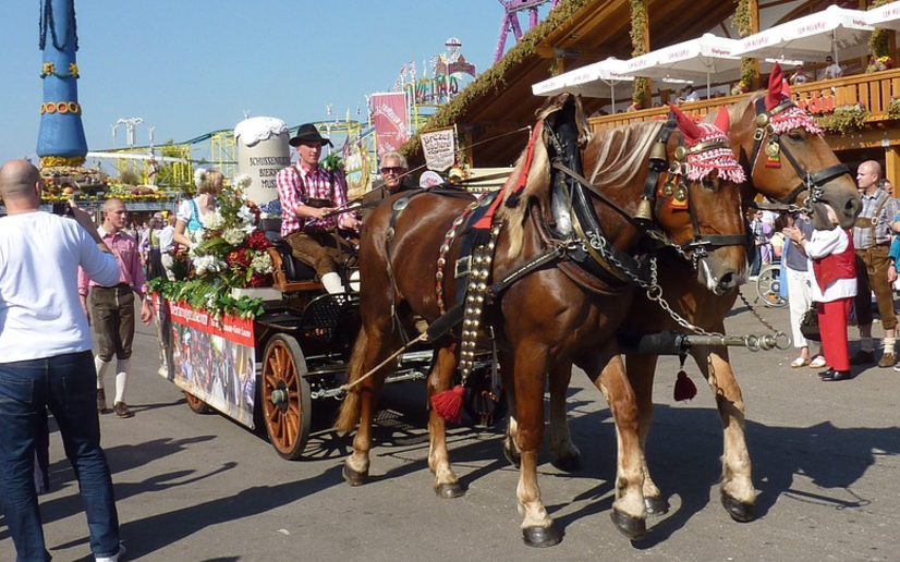 Where to Make Money Selling Hot Dogs in the Fall Hot Dog Cart And