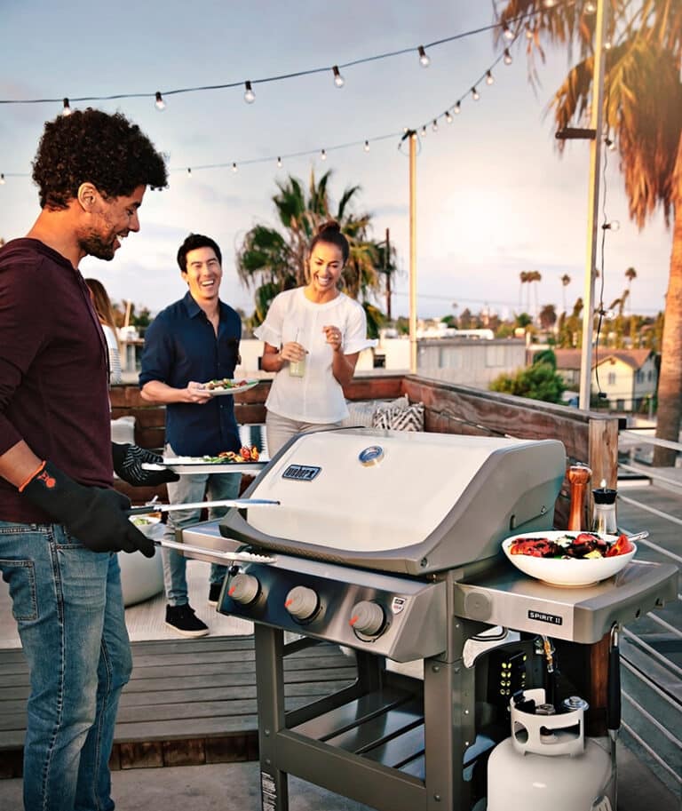 Best er Grills of 2022 er Genesis 2022, er Kettle, Traveler