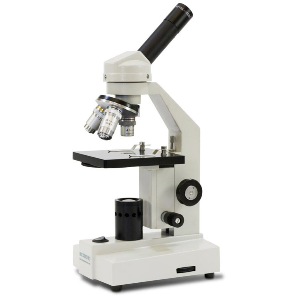 Beginner's Guide to Buying a Microscope