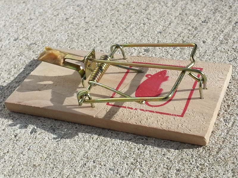 How to Make A Mousetrap Car HST Physics Project