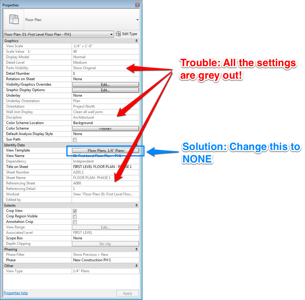 Why are the settings in the View Properties all grey out? LEARNING REVIT