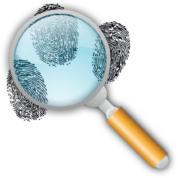 Discovery Learning (Bruner) Learning Theories