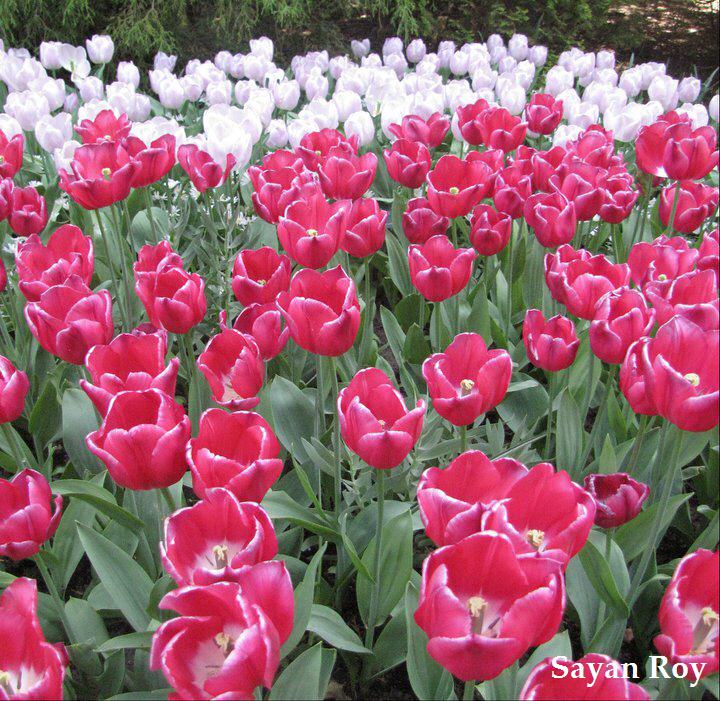 Valentine romantic destinations in Europe