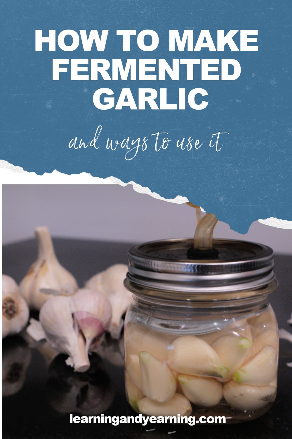 Making Fermented Garlic and Ways to Use It Learning and Yearning