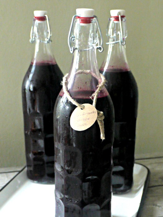 Make Your Own Lactofermented Grape Juice