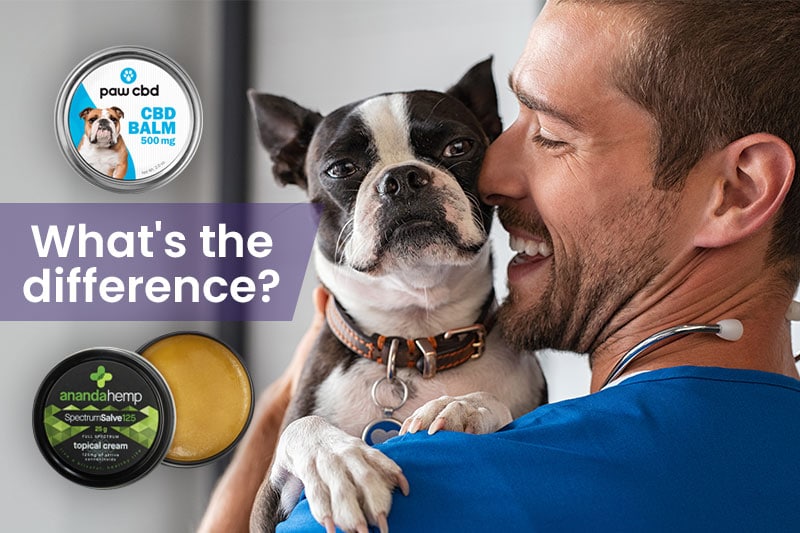 Can Humans Take CBD for pets? Can Pets take normal CBD?