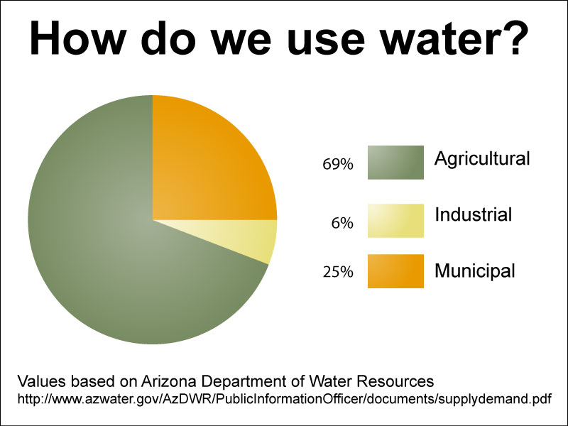 Just about Arizona water. Learning from Dogs