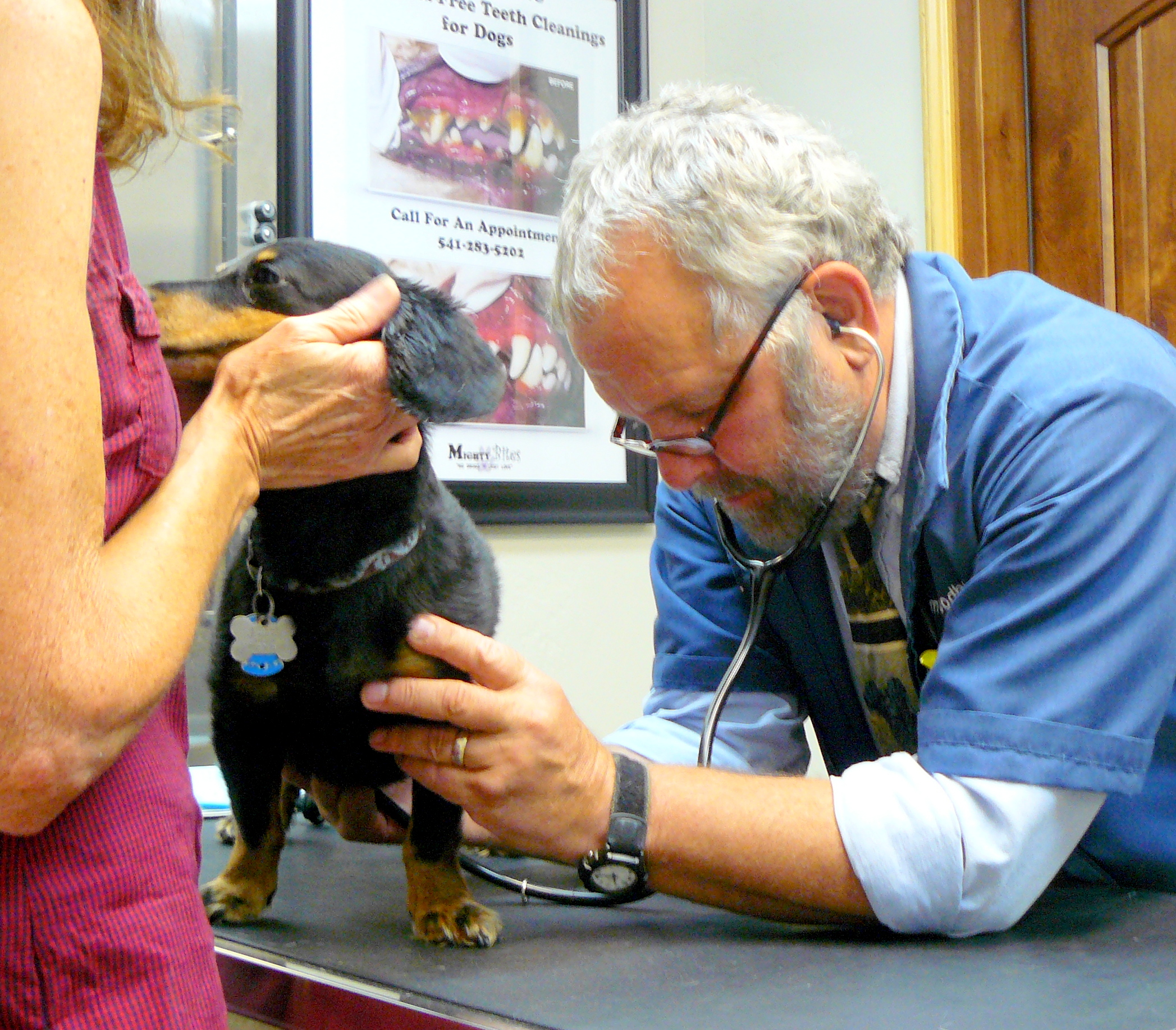 Visiting the Vet Jefferson’s heart! Learning from Dogs