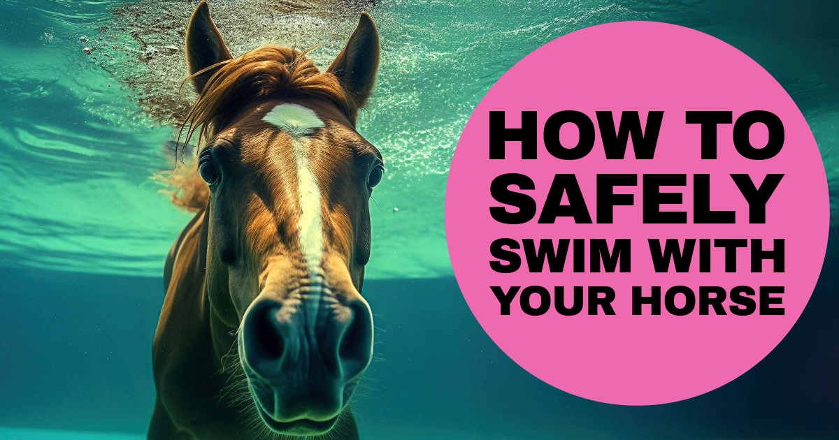 Can Horses Swim? How to Swim with a Horse