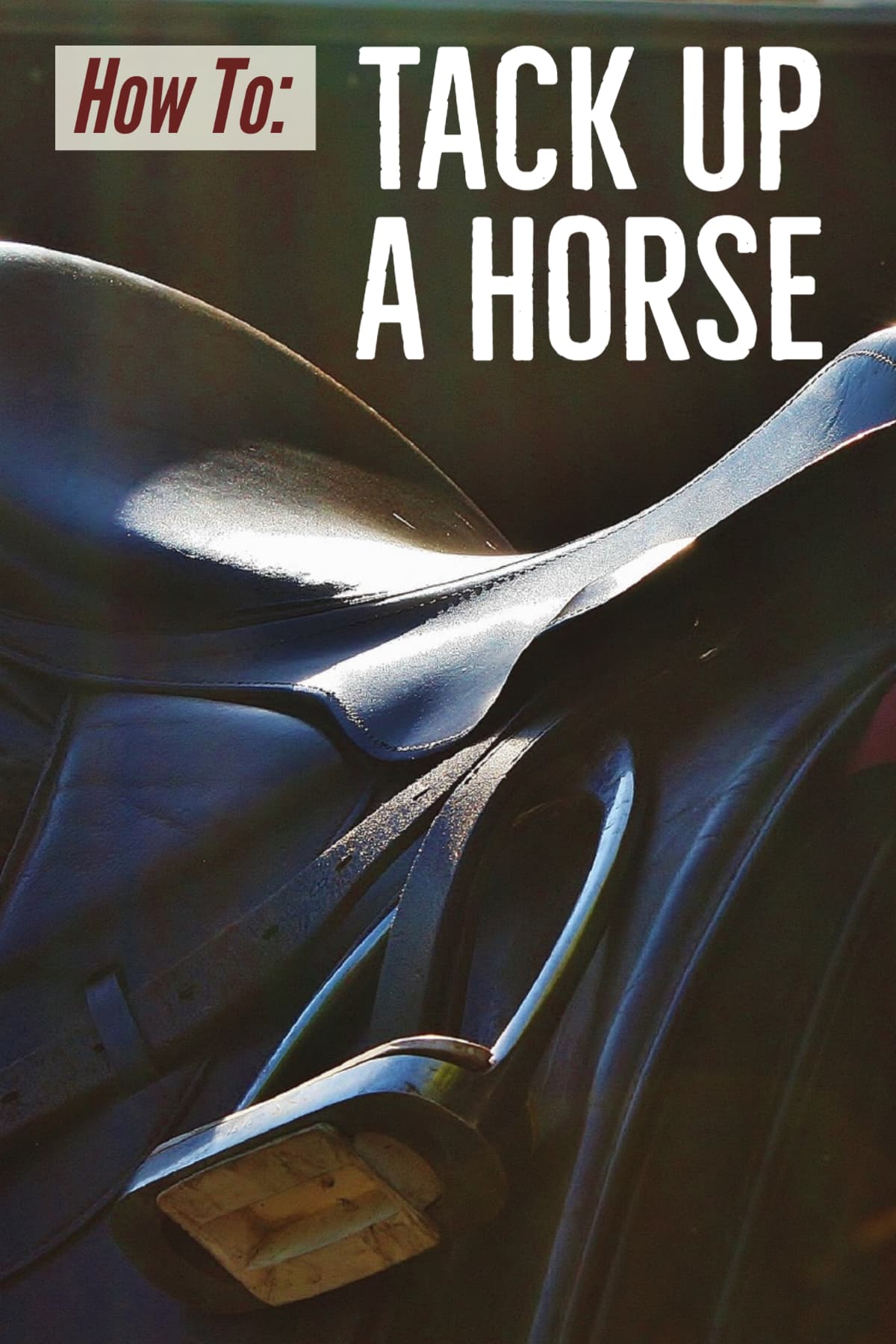 Tacking Up A Horse What it Means & How to Do It