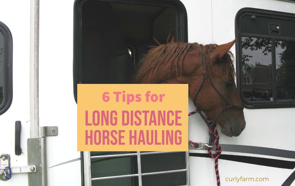 6 Trailering Tips for Hauling Horses Long Distance