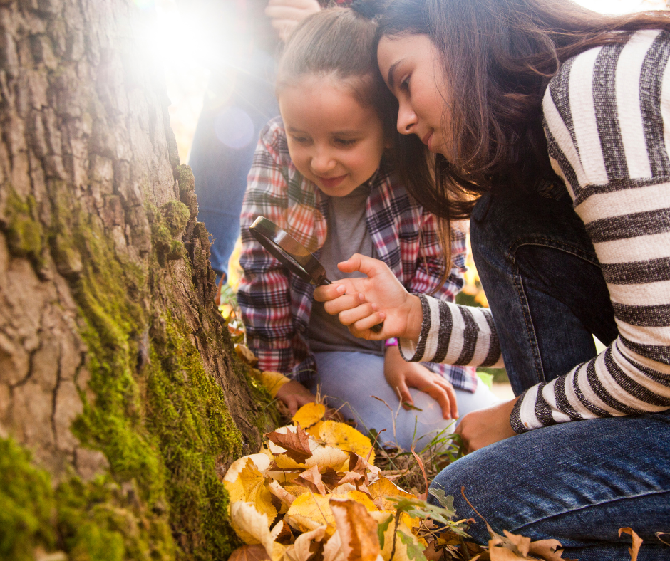 The Benefits of Outdoor Education Learning Beyond the Classroom Walls