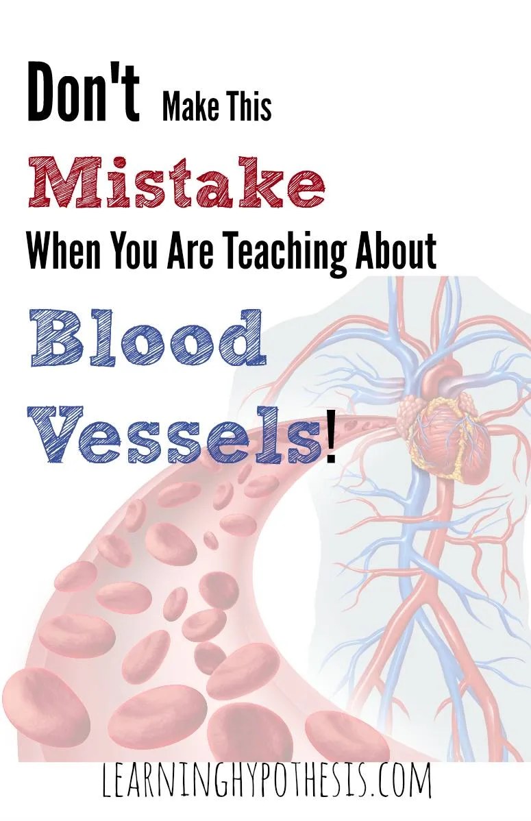 Don't Make this Mistake When Teaching About Blood Vessels!