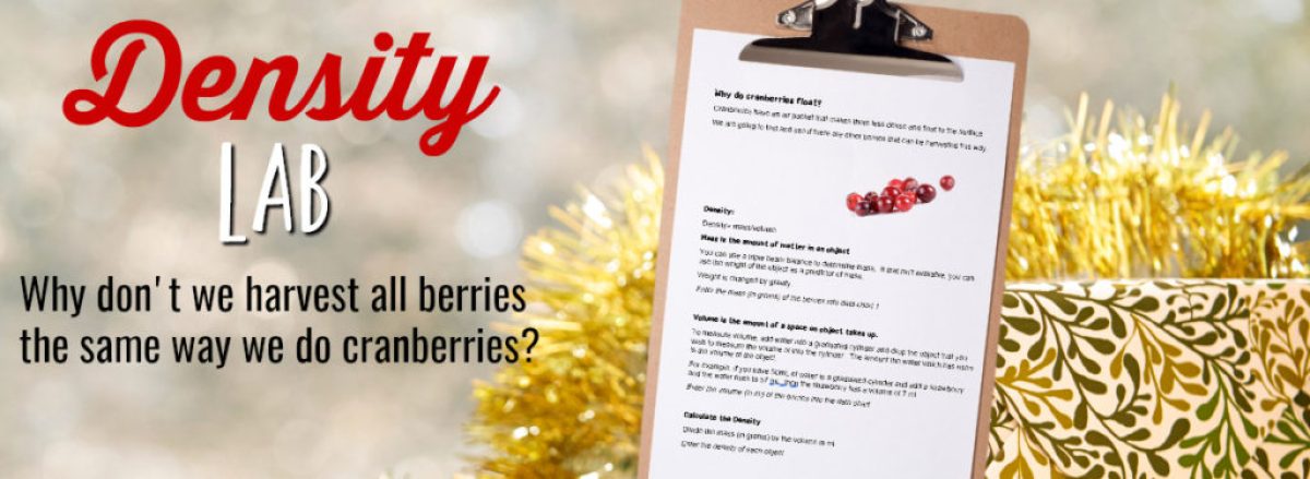 This simple thanksgiving stem activity is included in our thanksgiving science experiments and activities collection you won't want to miss. Density Worksheet And Lab Activity To Practice And Apply Concepts