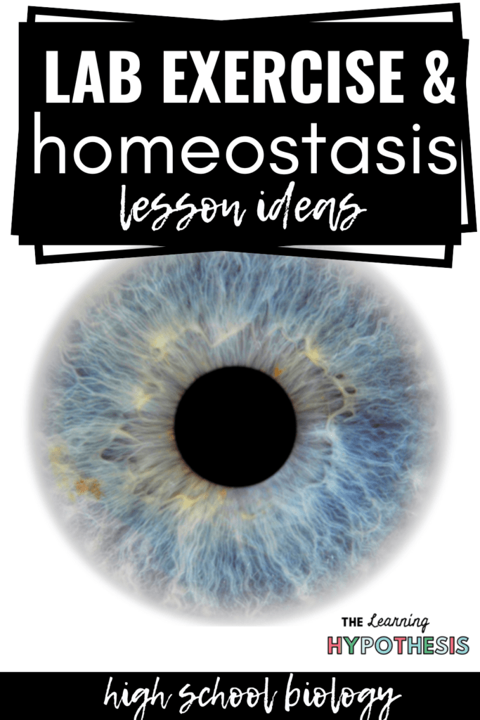 Homeostasis Lessons that Work Lab Exercise and Homeostasis