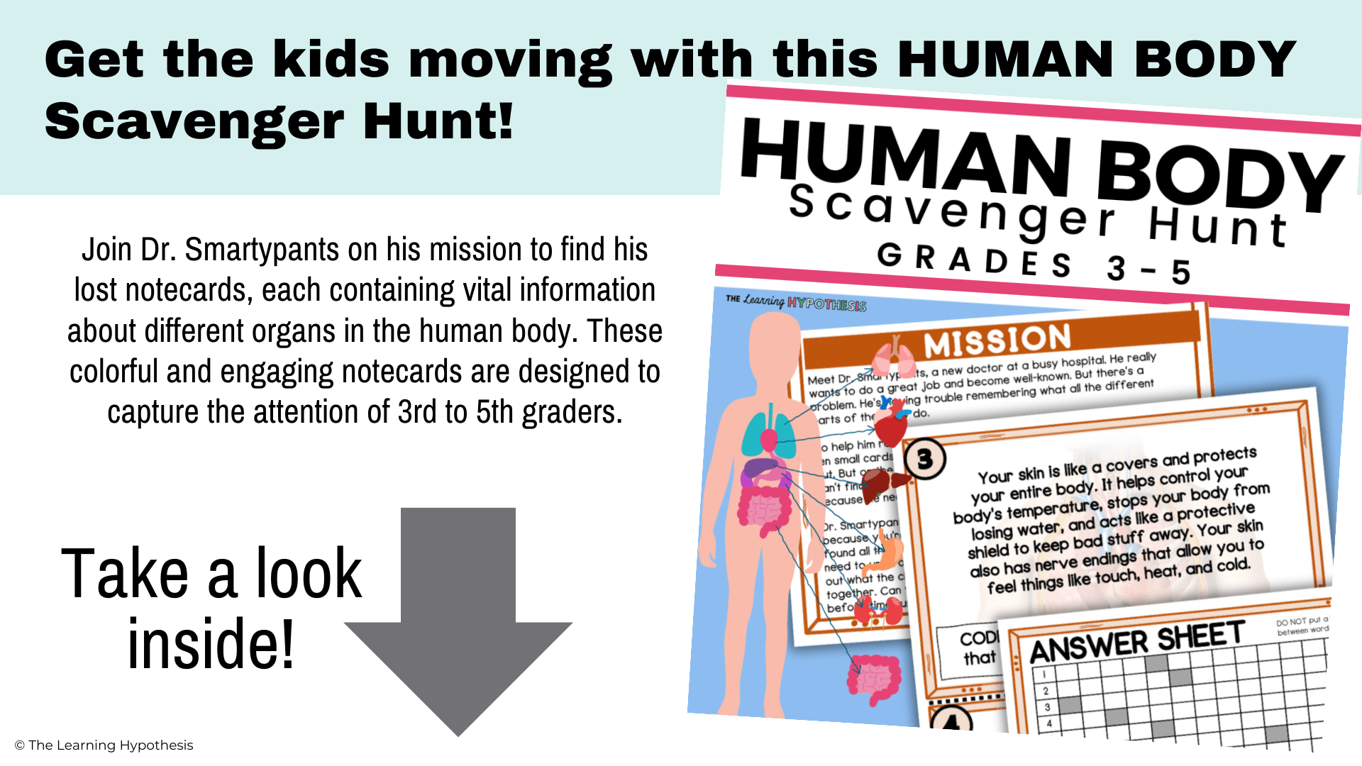 Human Body Scavenger Hunt. Grades 35 The Learning Hypothesis