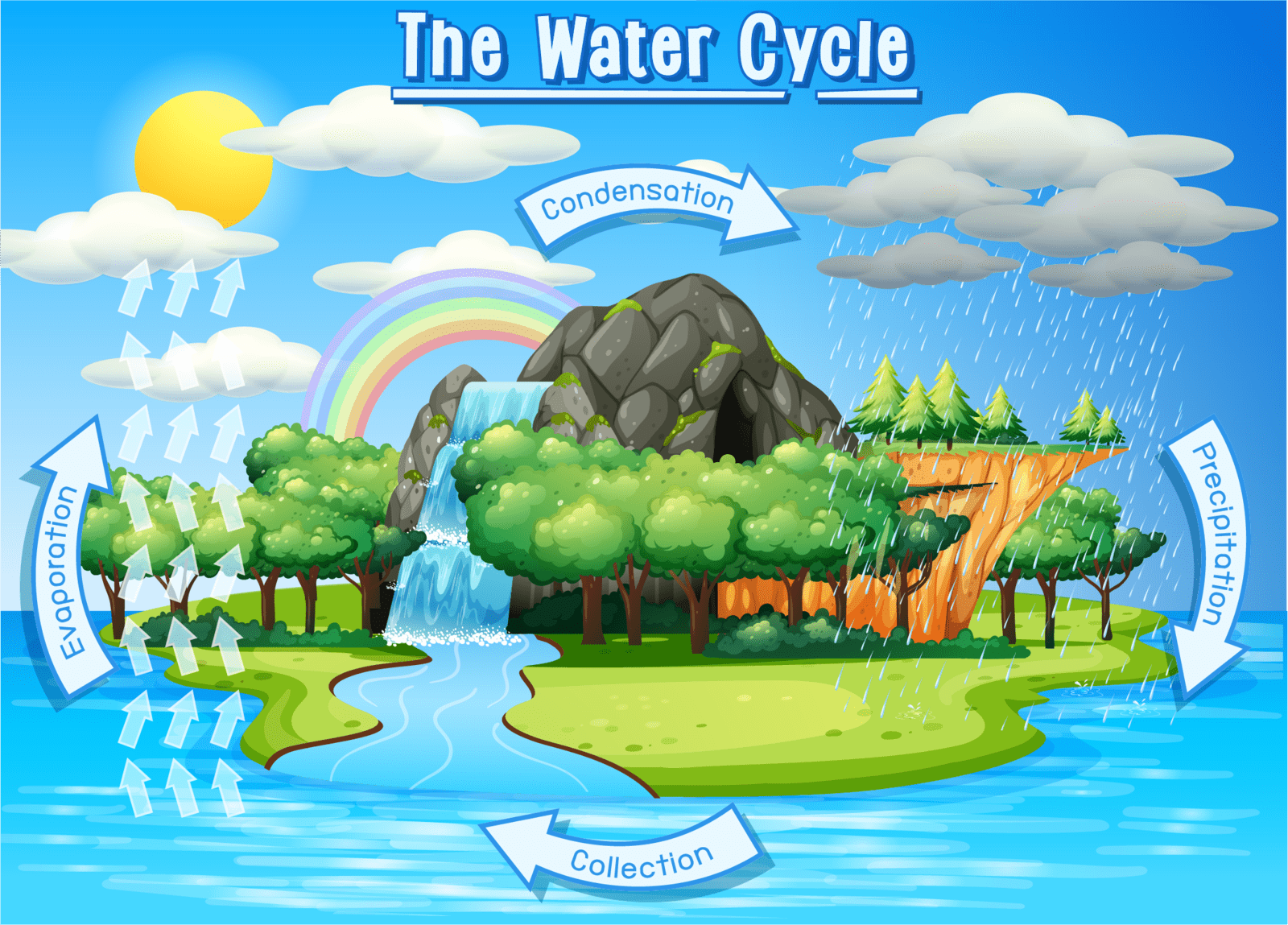 The 4 Processes of the Water Cycle and Some Cool Facts LearningMole