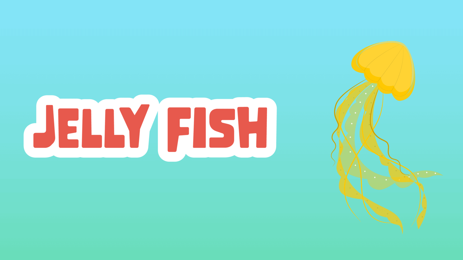 Jellyfish Facts for Kids 5 Interesting Facts about Jellyfish