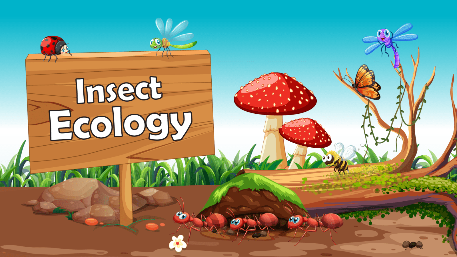 Insect Ecology LearningMole