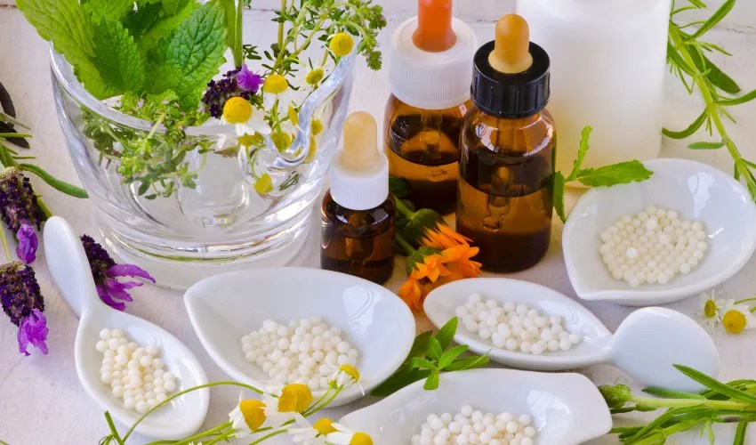 The Best Online Degree In Alternative Medicine Top 13