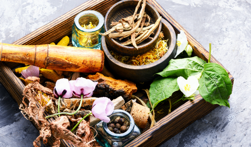 The Best Online Degree In Alternative Medicine Top 13