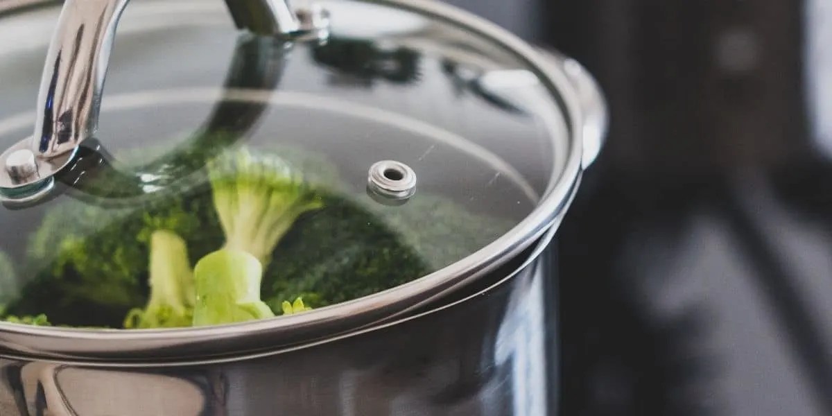 Stargazer Cast Iron Review Is It Right For You? (May 2024)