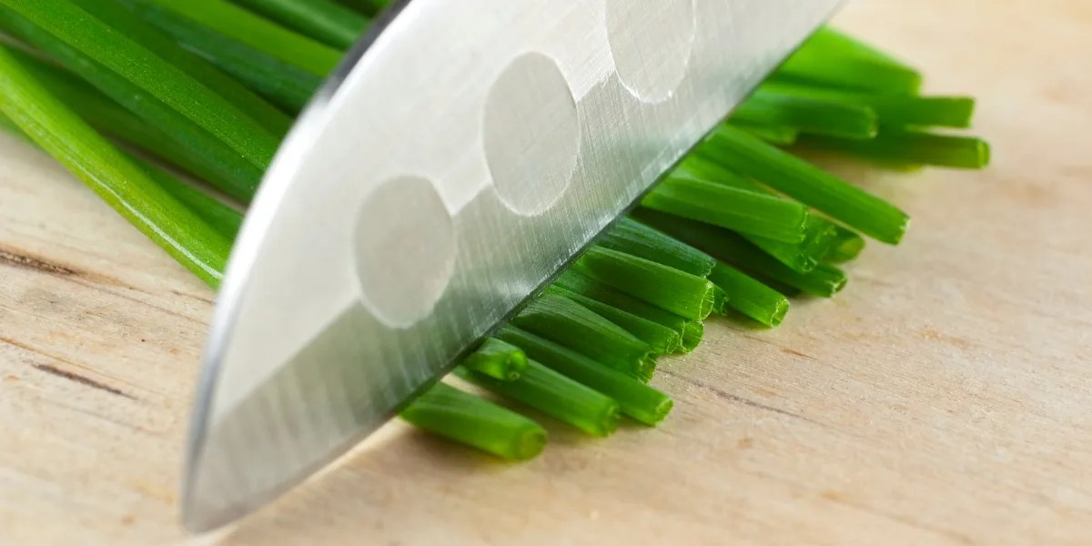 Global vs. Wusthof Which is a better knife investment? Learning The Kitchen