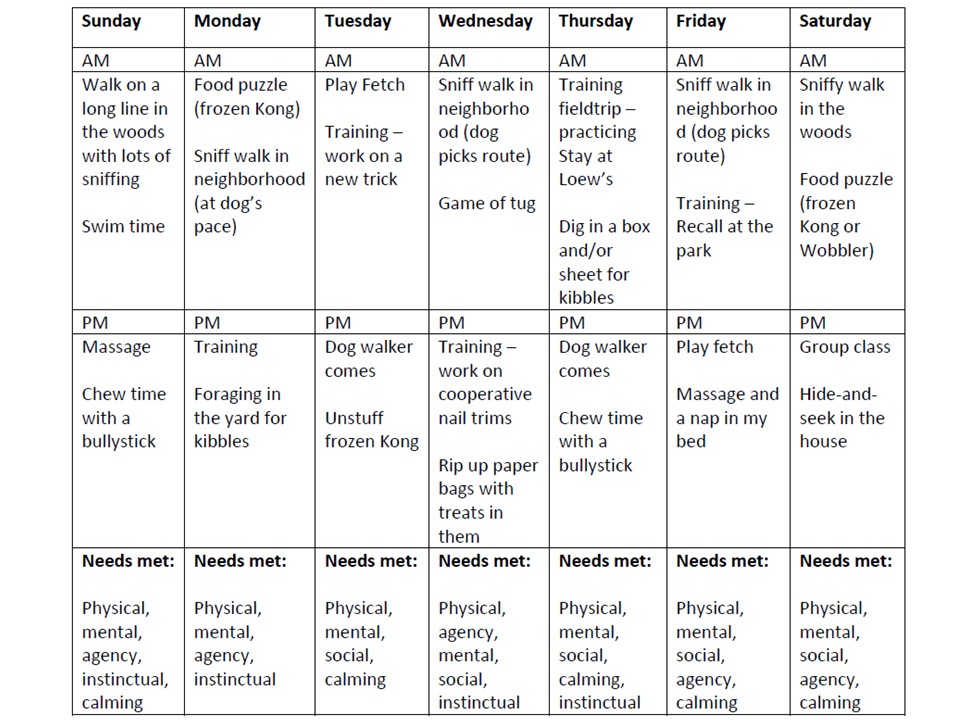 Enrichment! What is it & how to do it! Learning to Dog Training and