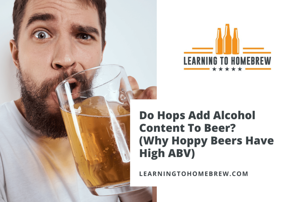ABV and IBU explained Shore Craft Beer