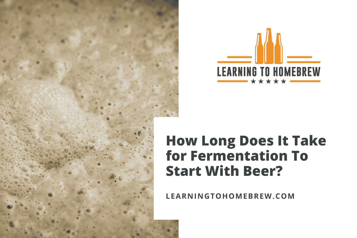 How Long Does It Take for Fermentation To Start With Beer?