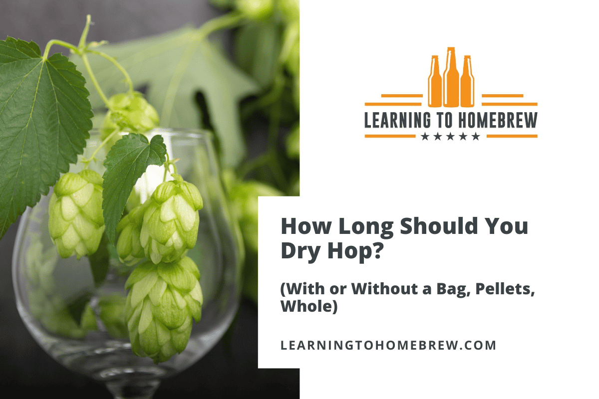 How Long Should You Dry Hop? (With or Without a Bag, Pellets, Whole)