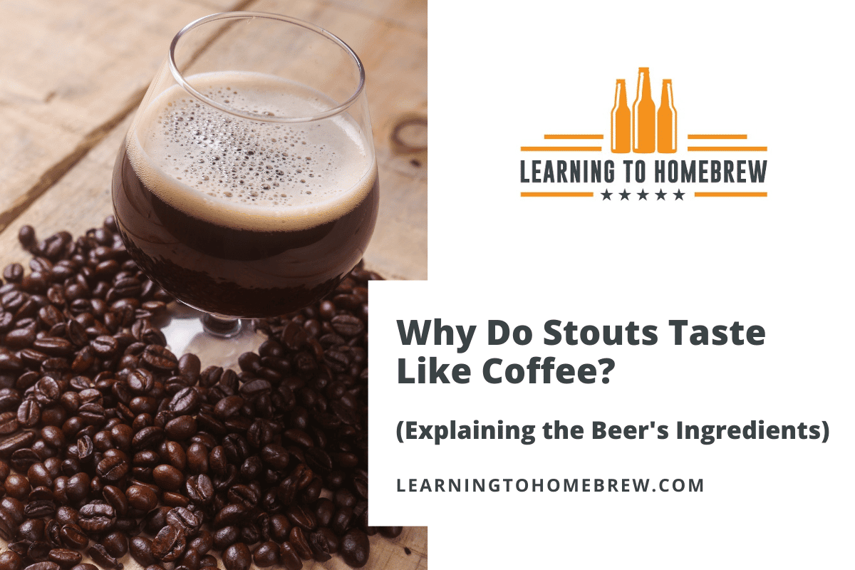 Why Do Stouts Taste Like Coffee? (Explaining the Beer's Ingredients)