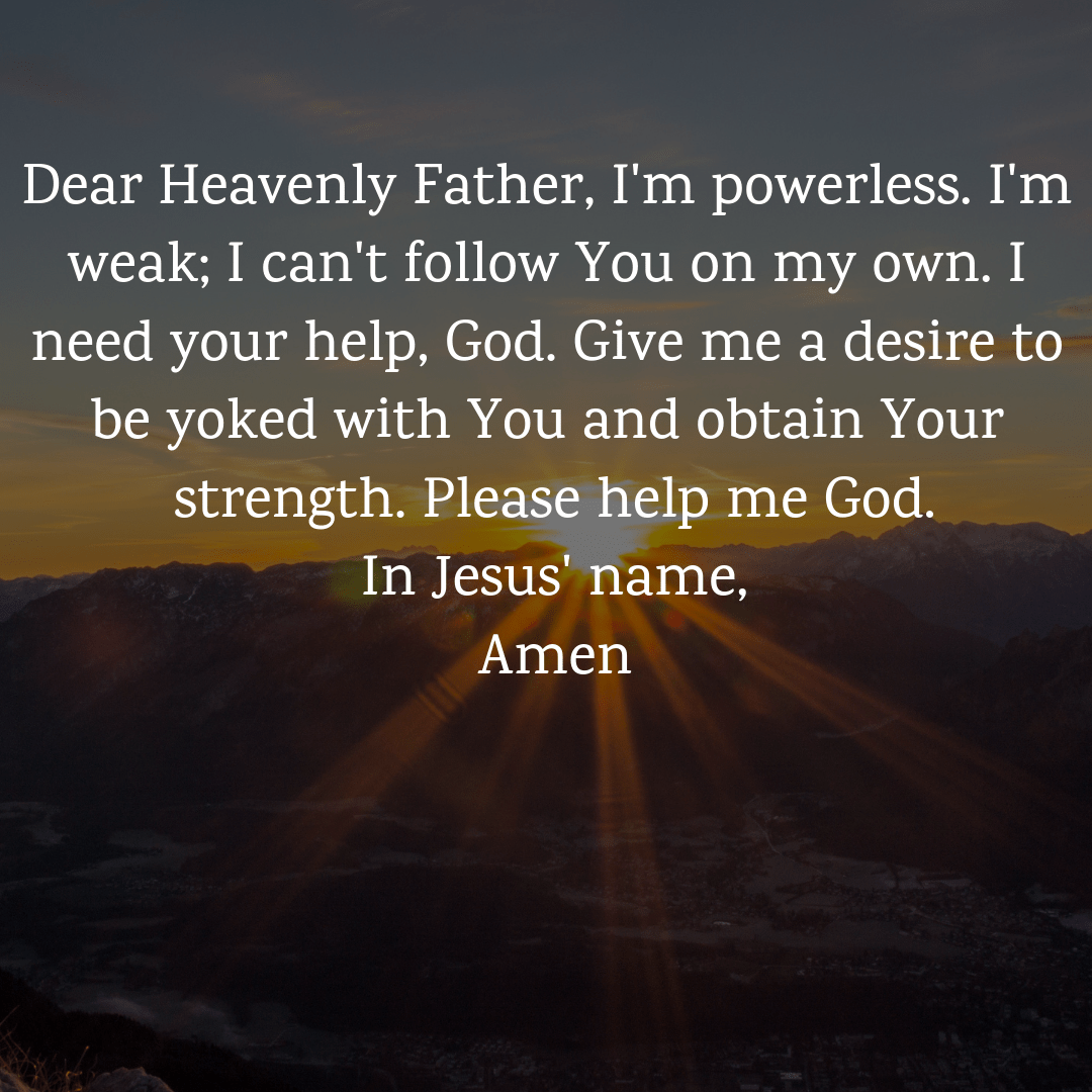 Fake Faith Learning To Live