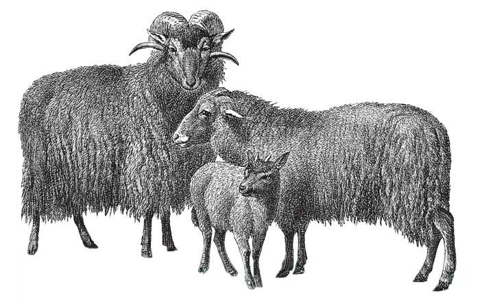 Build a web app with JavaScript and Node.js. Learning Web Application