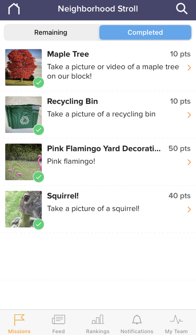 Goose Chase LearningWorks for Kids