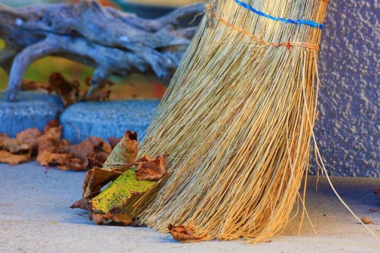 21 German Proverbs to Make You Wiser Learn Languages From Home