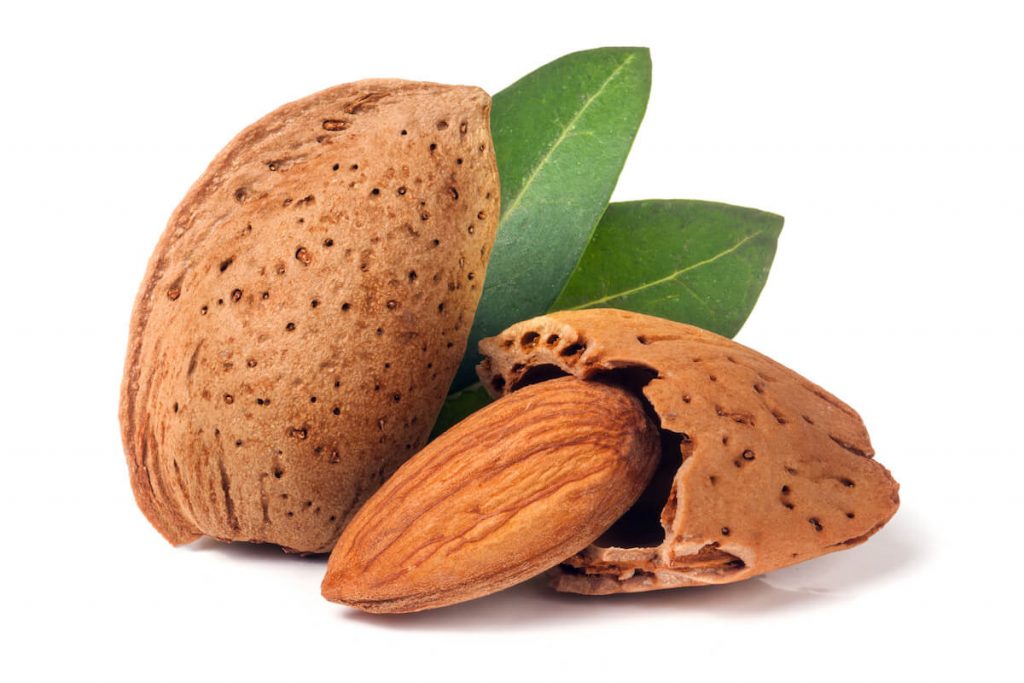 19 Best French Sayings, Proverbs and Idioms About Life Learn Languages From Home