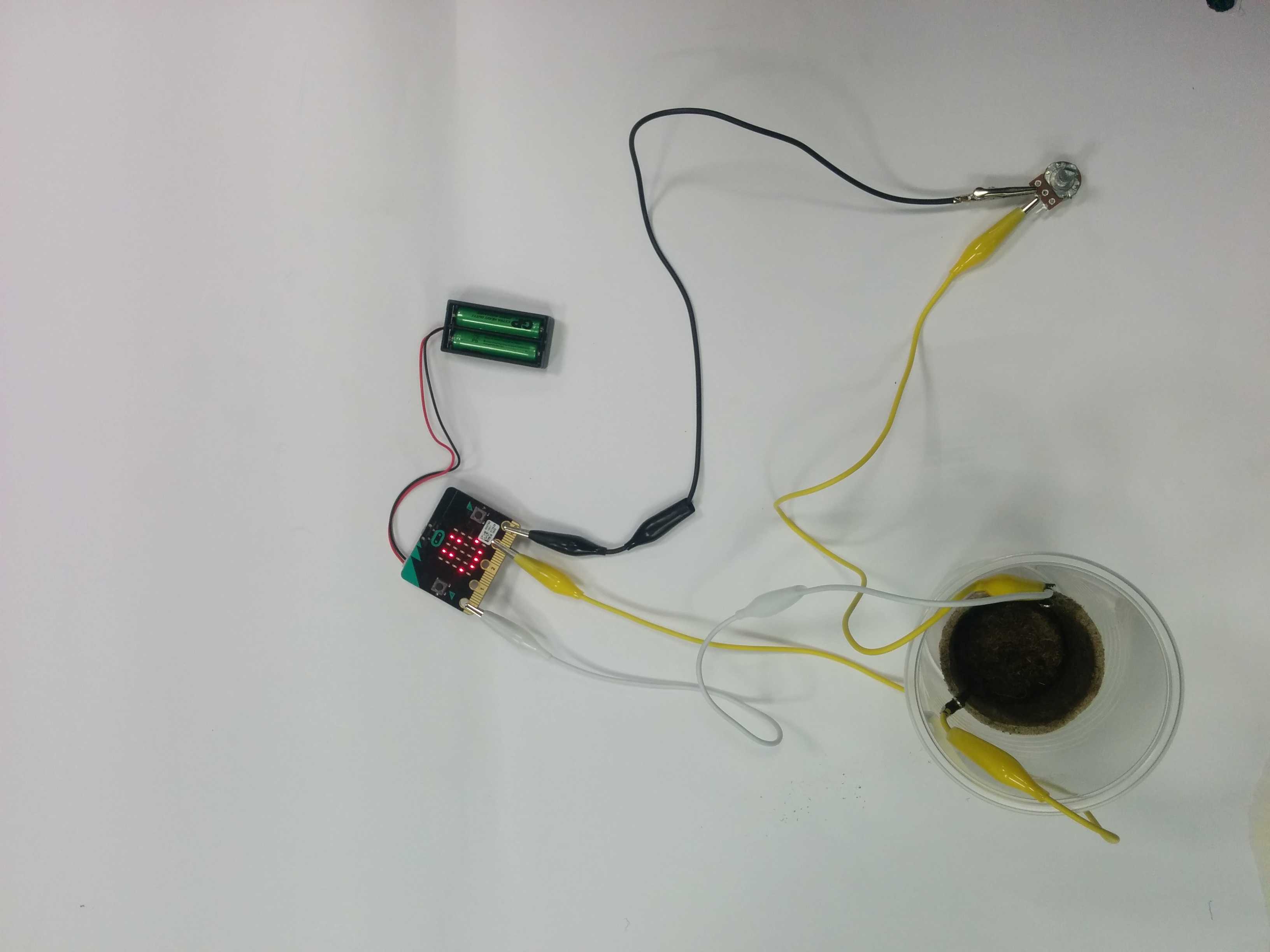 Microbit plant moisture detector tutorial Microbit LearnLearn.co.uk
