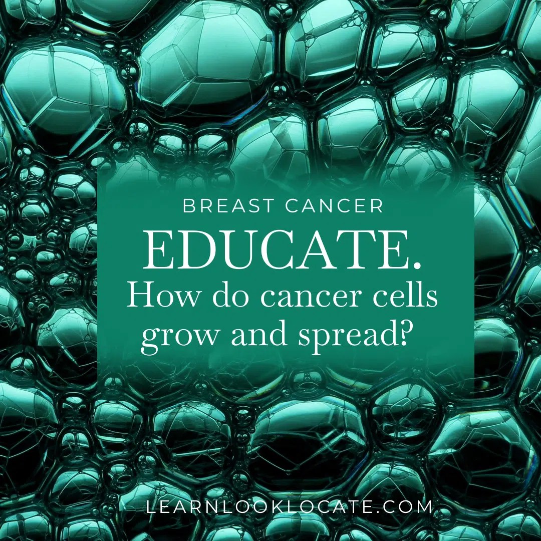 How cancer cells grow and spread Learn Look Locate