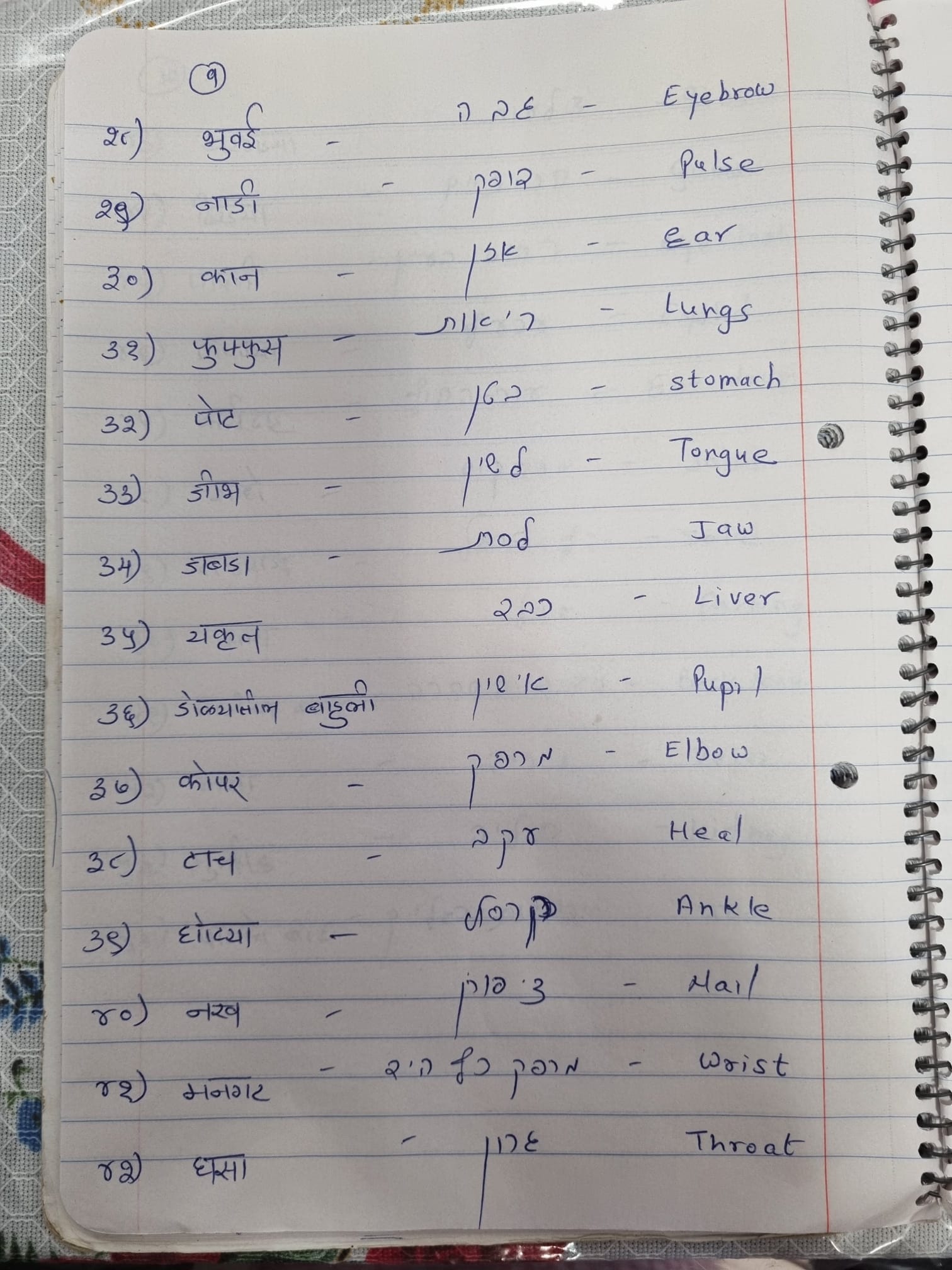 Names of body parts in Marathi and Hebrew Learn Marathi With Kaushik